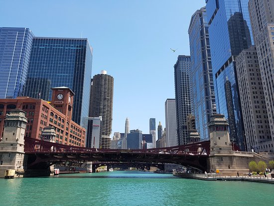 Chicago Experience 4